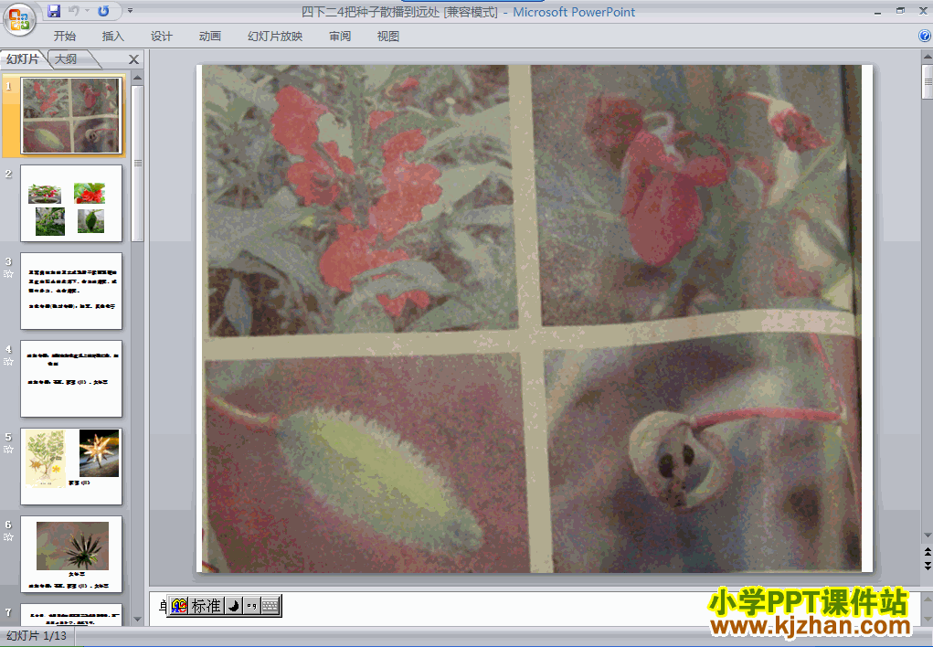 下载第二单元把种子散播到远处ppt课件(四年级科学下册)