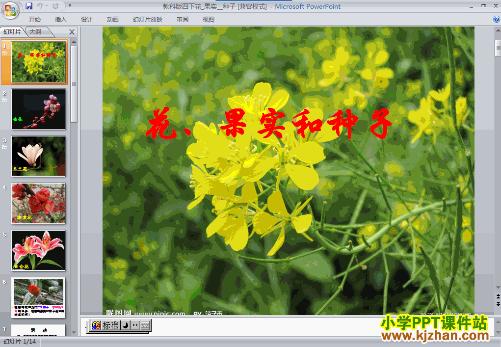 四年级科学下册第二单元花．果实和种子ppt教学课件下载