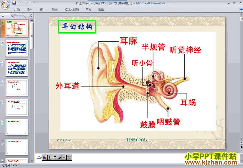 四年级科学上册3.7保护我们的听力PPT课件下载(教科版)