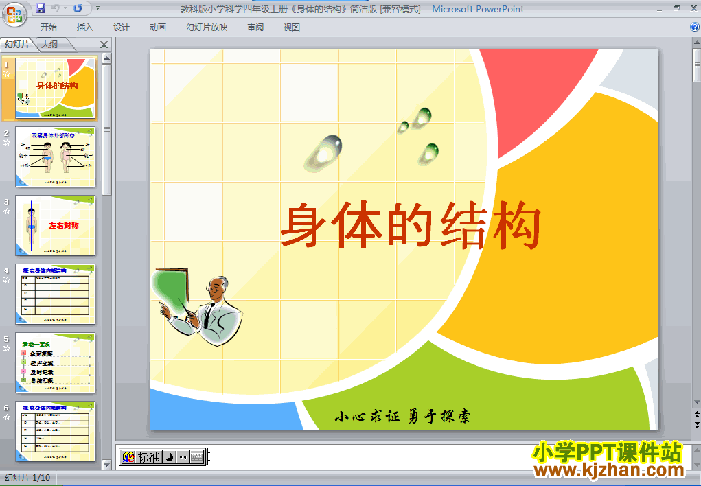 科学“我们的身体”4.1身体的结构ppt课件（四年级上册）