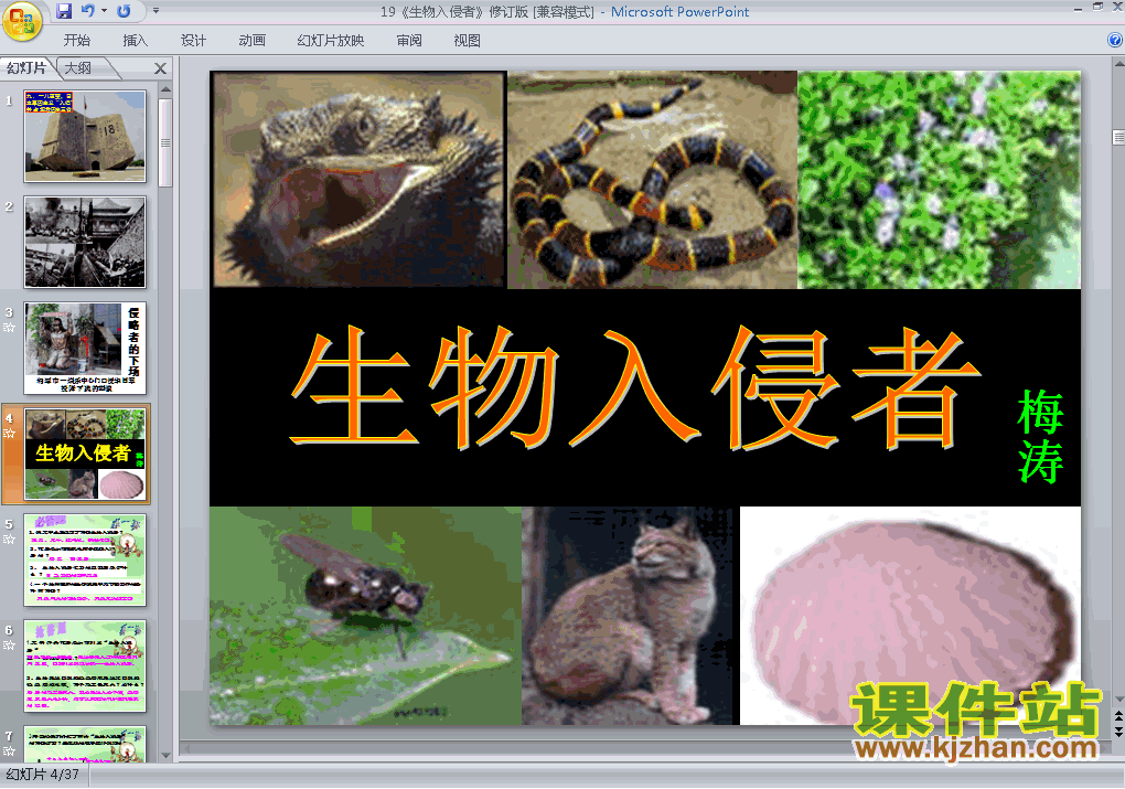 八年级语文上册第19课生物的入侵者上课ppt课件下载