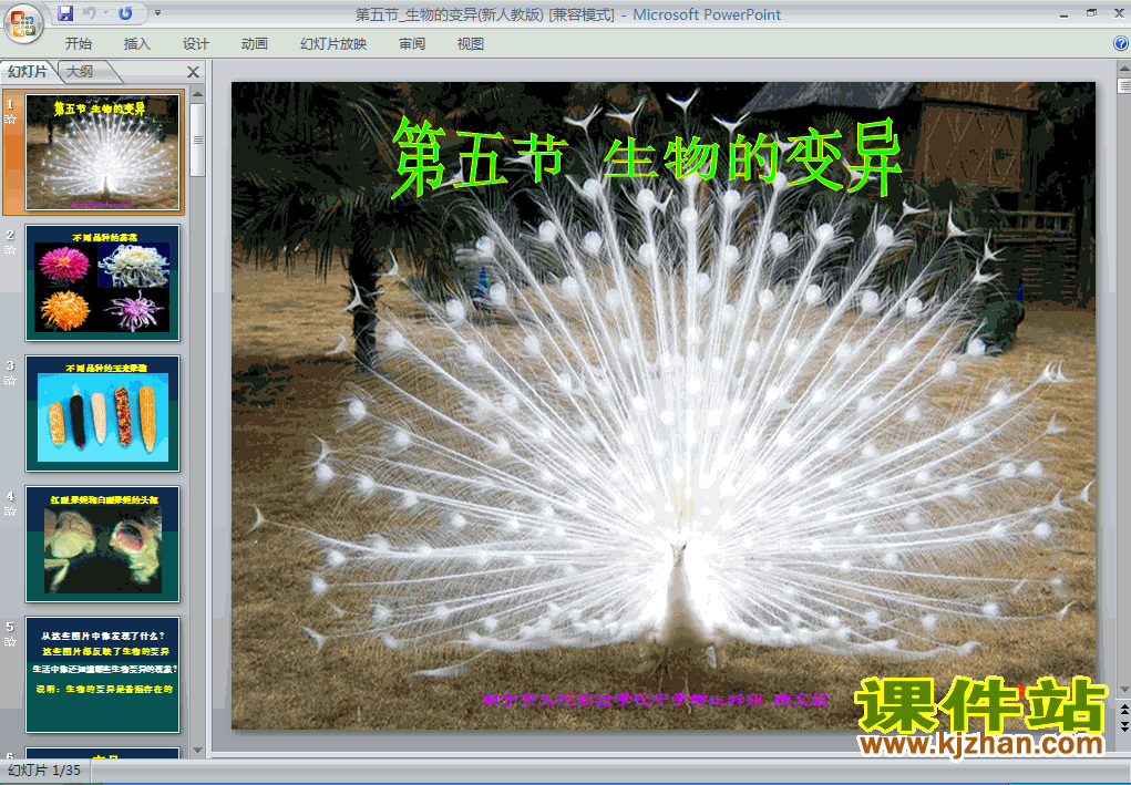 人教版生物7.2.5生物的变异ppt课件（八年级下册）