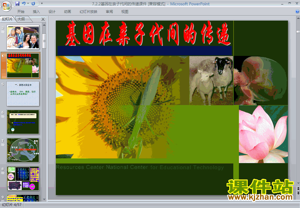 7.2.2基因在亲子代间的传递生物ppt课件下载