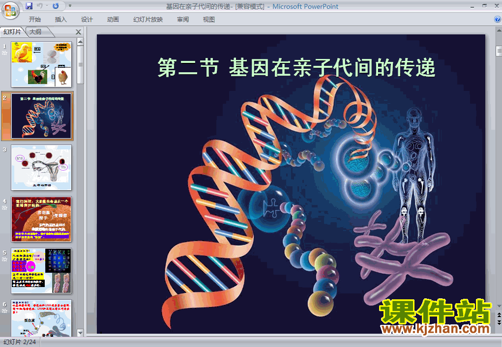 7.2.2基因在亲子代间的传递PPT课件下载