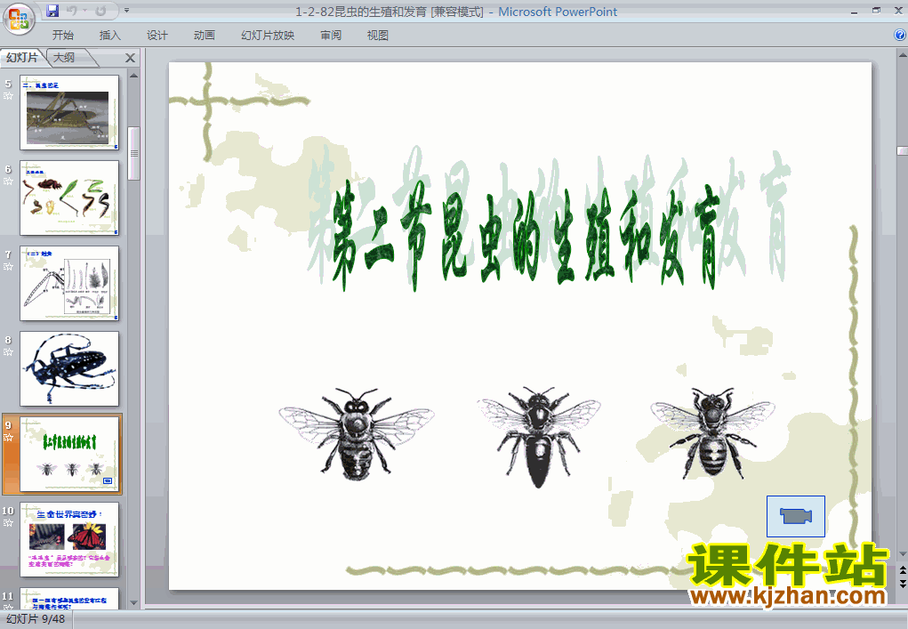 下载7.1.2昆虫的生殖和发育生物ppt课件