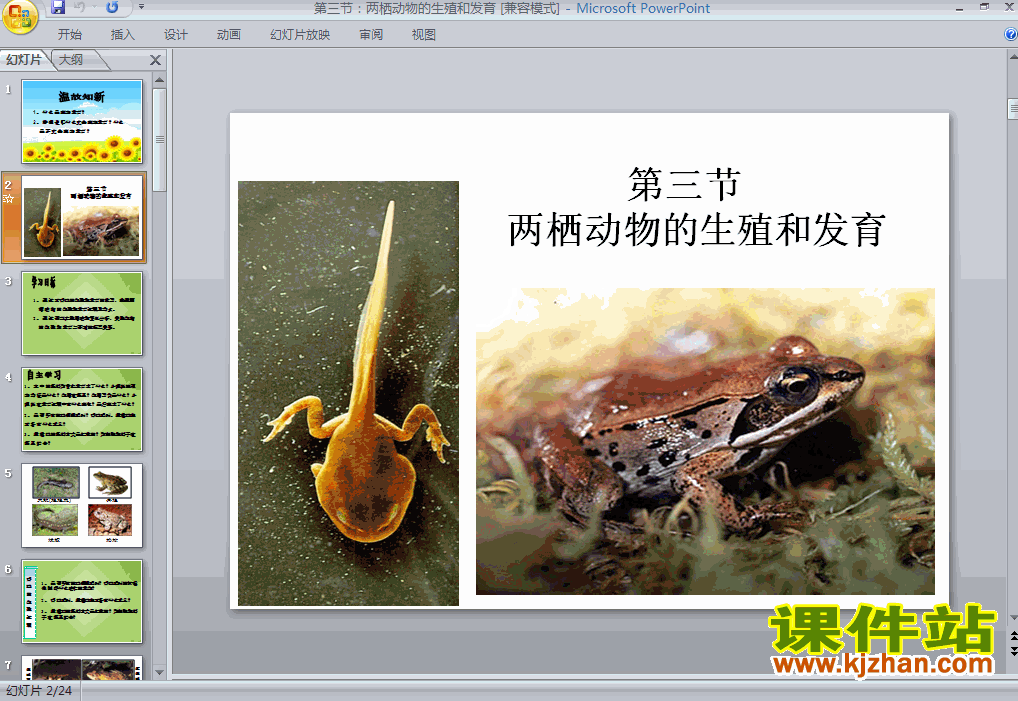 人教版生物7.1.3两栖动物的生殖和发育ppt课件