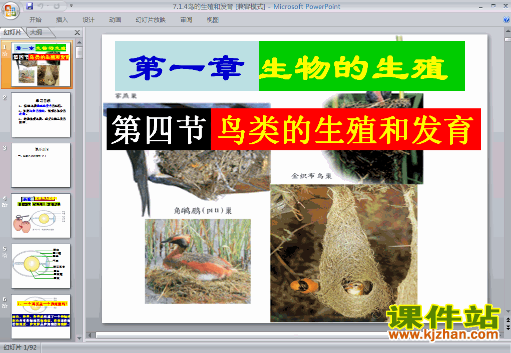 7.1.4鸟的生殖和发育生物ppt课件下载