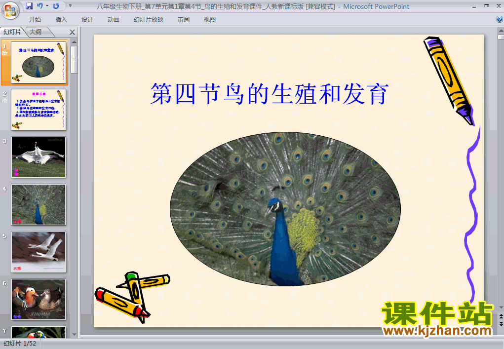 7.1.4鸟的生殖和发育生物ppt教学课件下载
