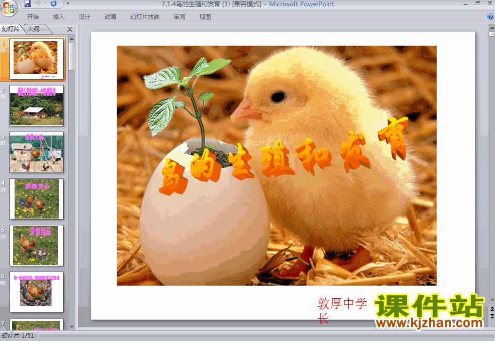 人教版生物7.1.4鸟的生殖和发育ppt课件（八年级下册）