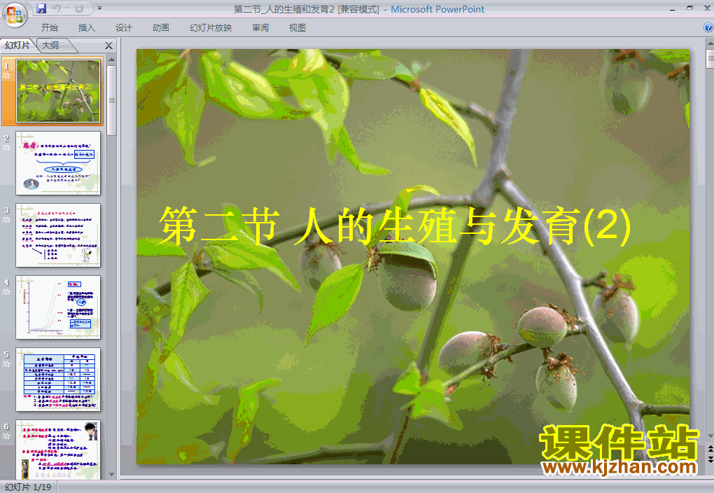 人的由来人的生殖生物ppt课件下载