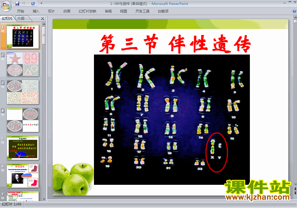 高中生物必修2公开课2.3伴性遗传ppt课件下载