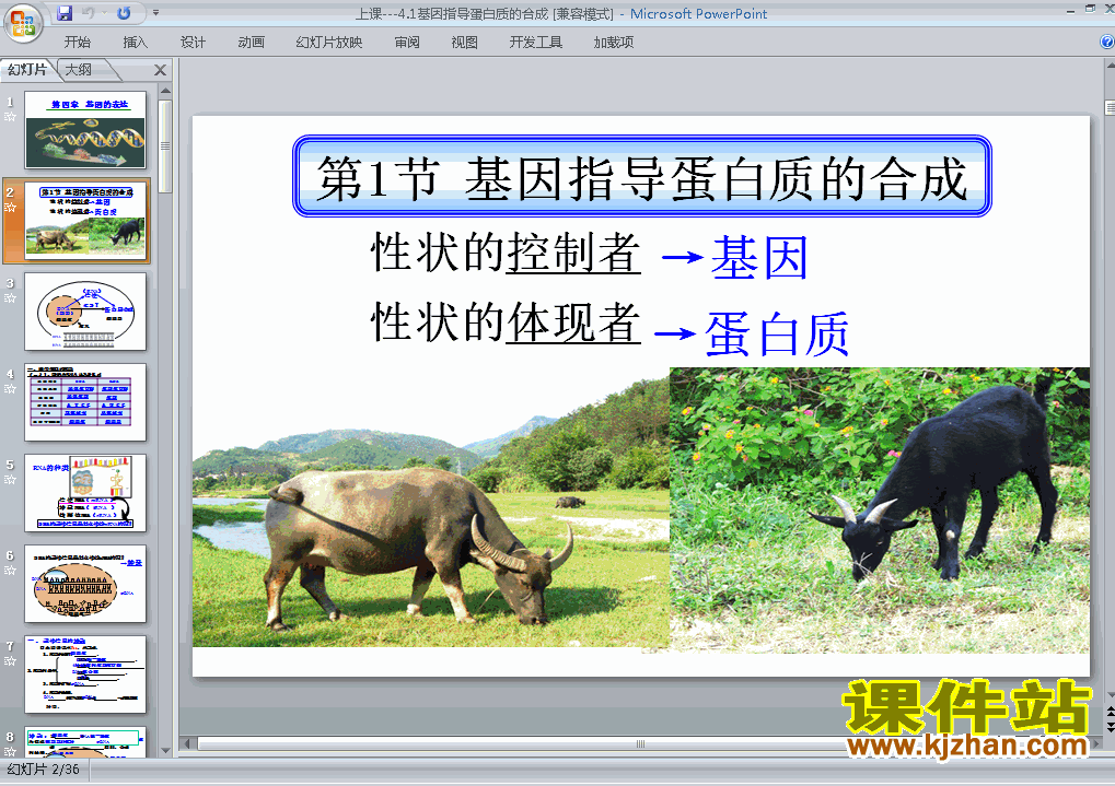 下载生物必修24.1基因指导蛋白质的合成ppt课件