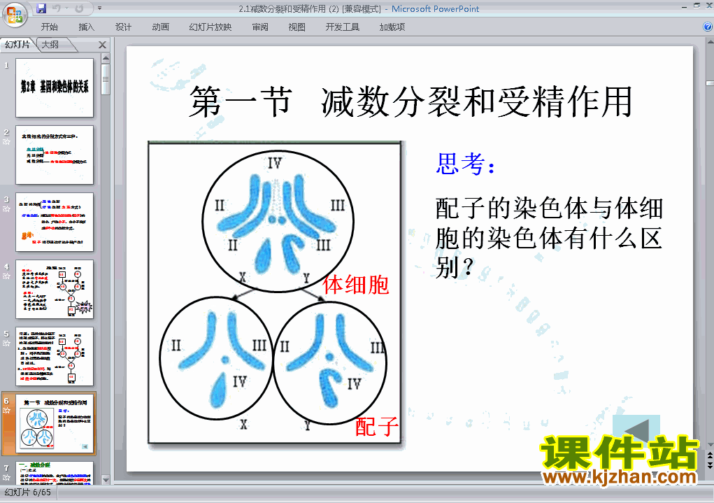 下载高中生物必修2教研课2.1减数分裂和受精作用PPT课件