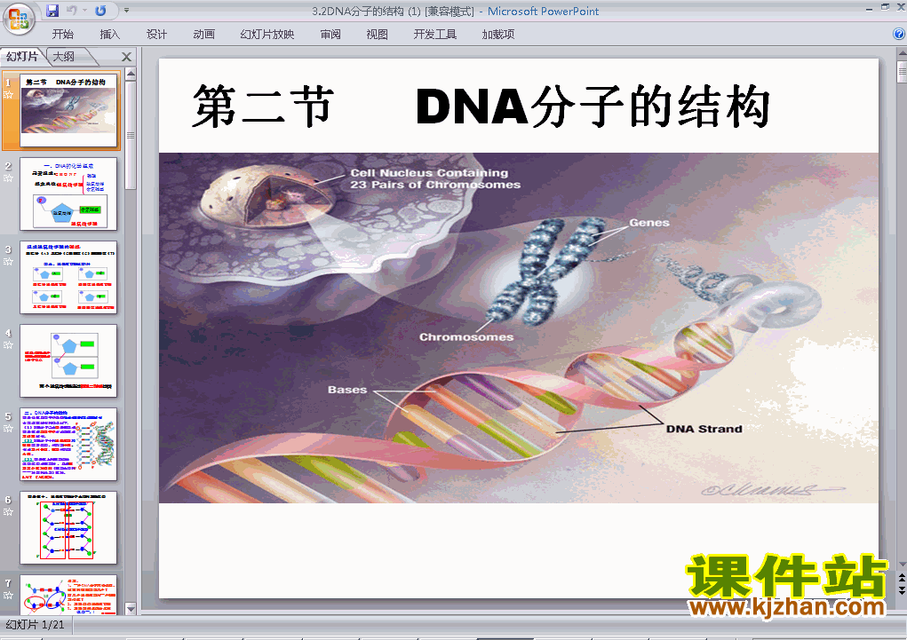 下载高中必修2生物公开课3.2DNA分子的结构课件ppt