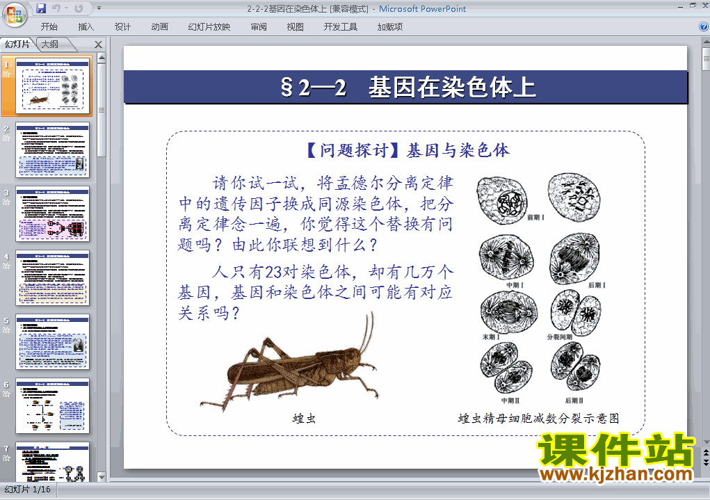 下载高中生物必修2教研课2.2基因在染色体上课件PPT