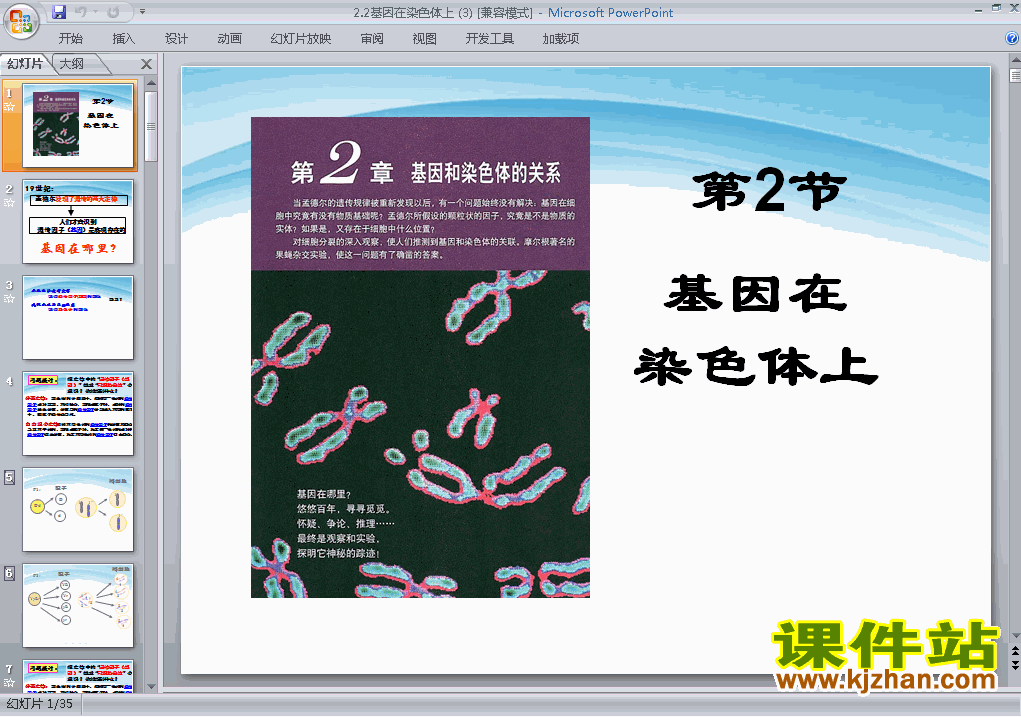 人教版生物必修2精品2.2基因在染色体上PPT课件下载