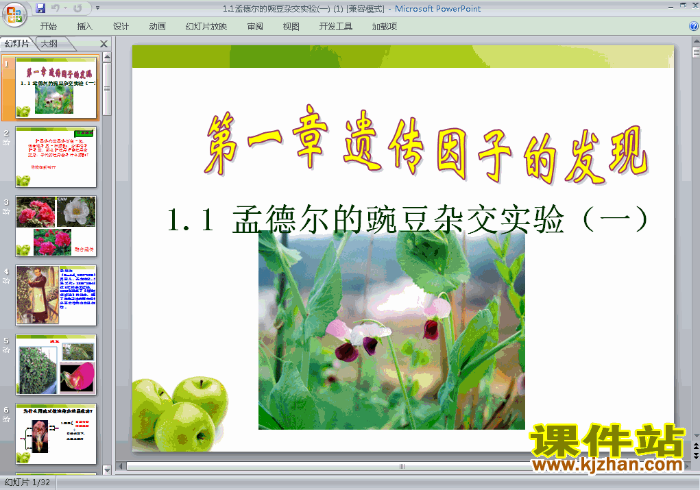 下载必修2生物1.1孟德尔的豌豆杂交实验(一)课件ppt
