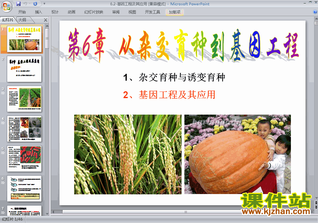 人教版生物必修26.2基因工程及其应用课件ppt下载