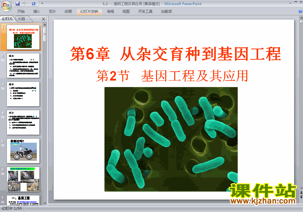 下载高中生物必修26.2基因工程及其应用ppt课件