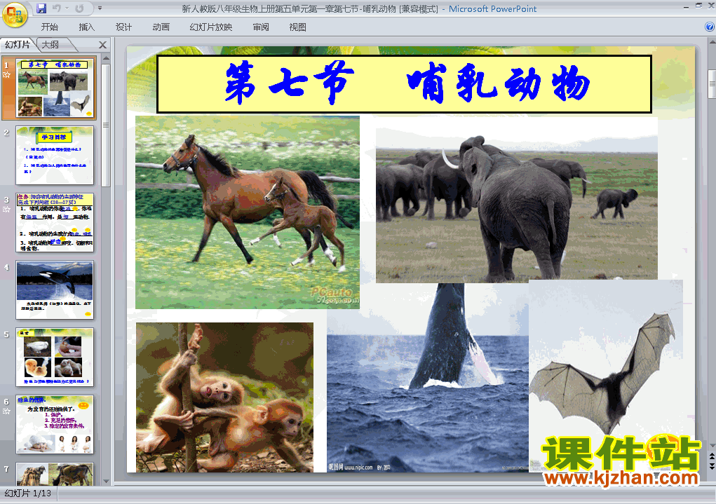 八年级上册生物5.1.7哺乳动物优质课ppt课件下载