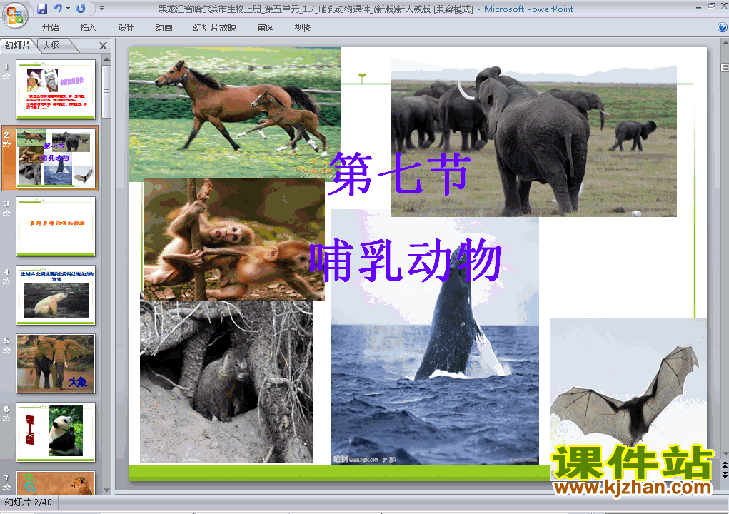 八上生物5.1.7哺乳动物ppt比赛获奖教学课件下载