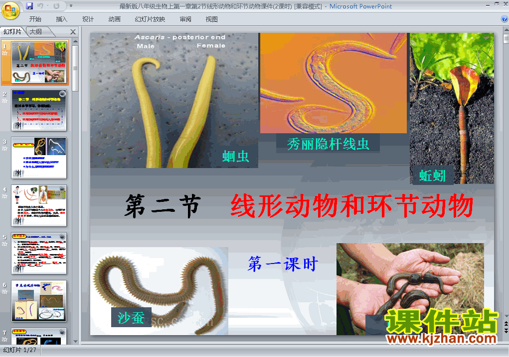 八年级上册生物5.1.2线形动物和环节动物优质课ppt课件下载