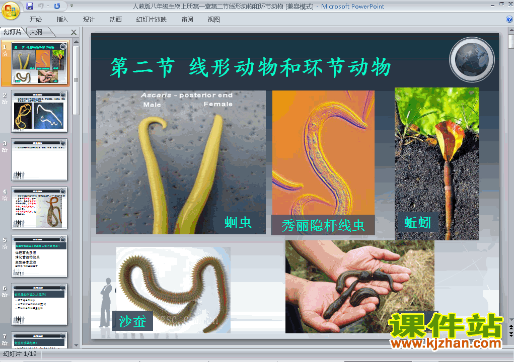 八上生物5.1.2线形动物和环节动物ppt比赛获奖教学课件下载