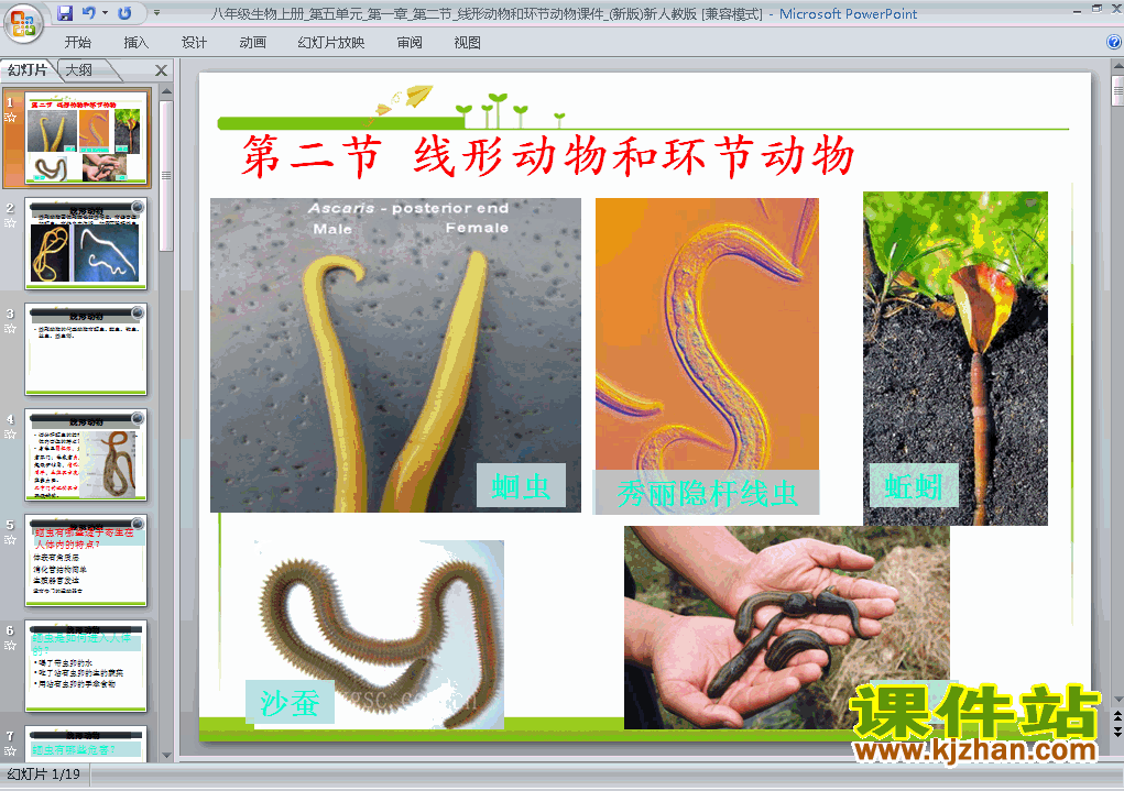 八年级生物上册5.1.2线形动物和环节动物上课ppt课件下载