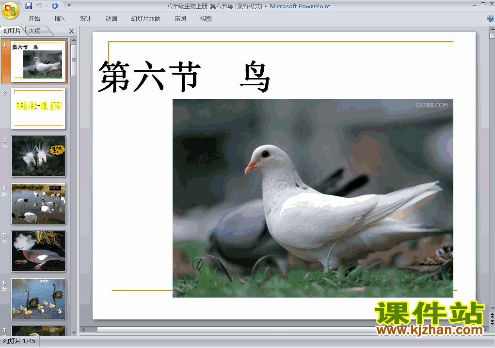 下载八上生物公开课ppt5.1.6鸟课件