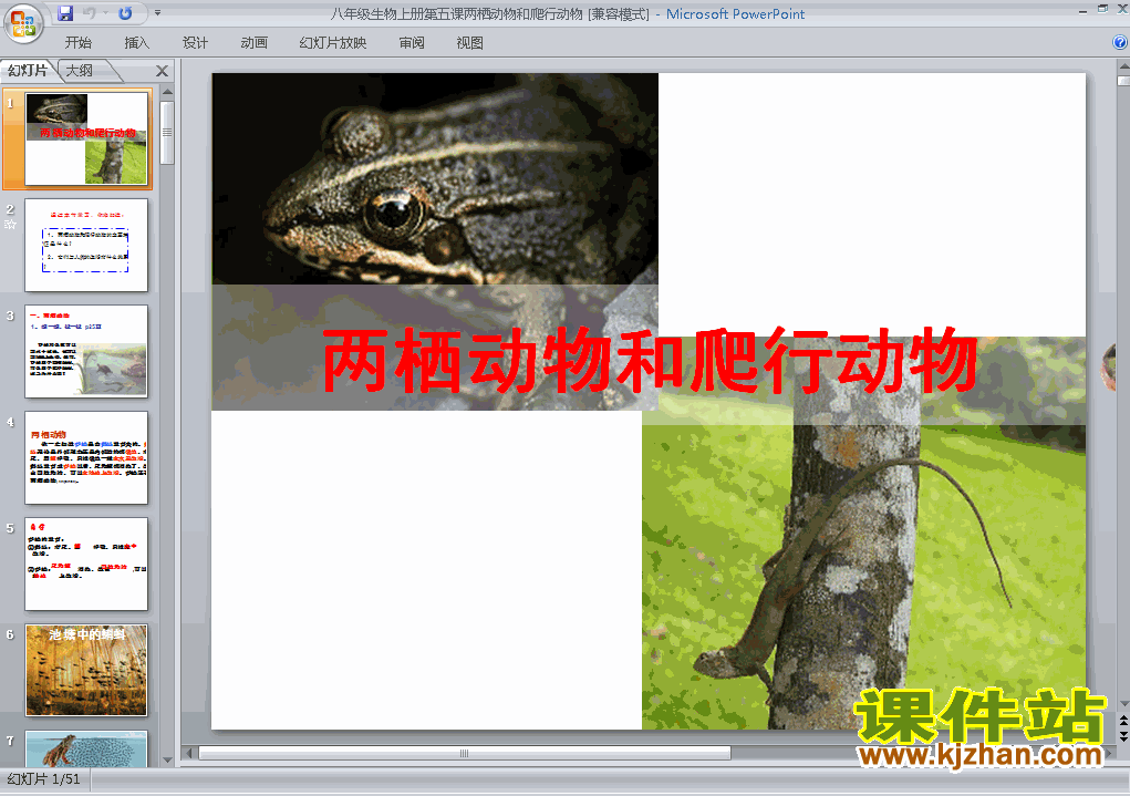 5.1.5两栖动物和爬行动物PPT教学自制课件(八年级生物上册)