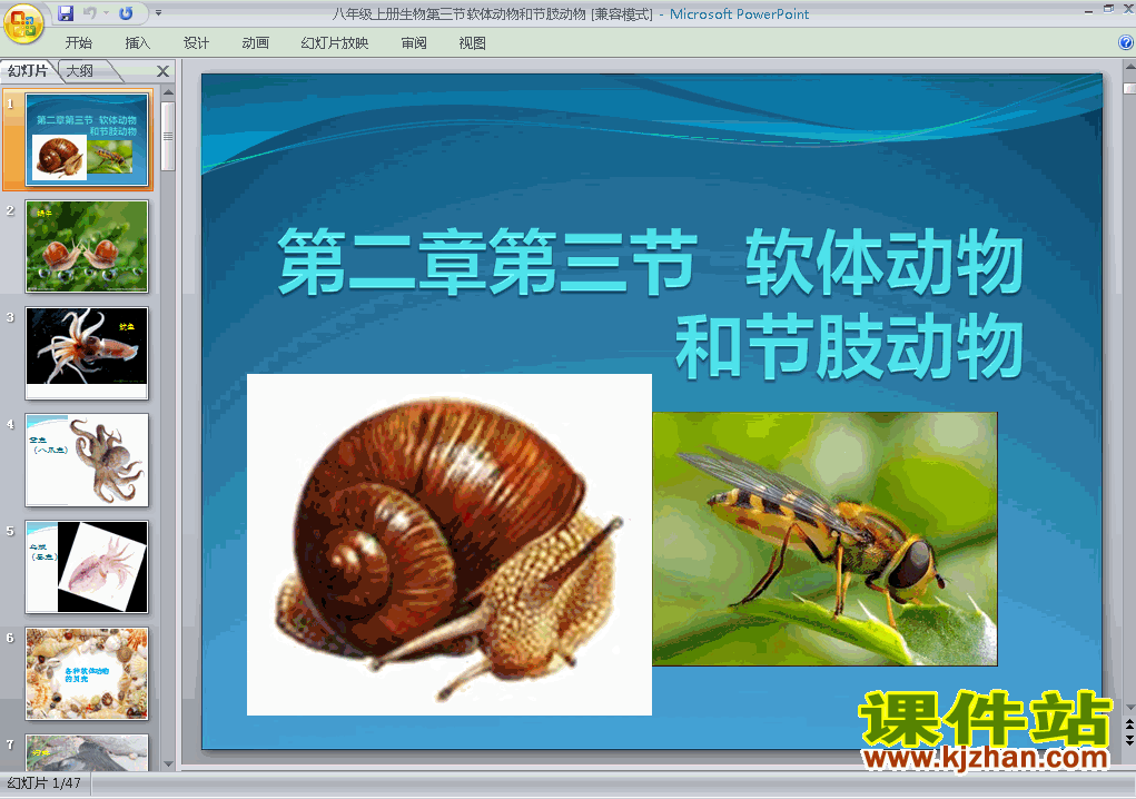八年级上册生物5.1.3软体动物和节肢动物优质课ppt课件下载