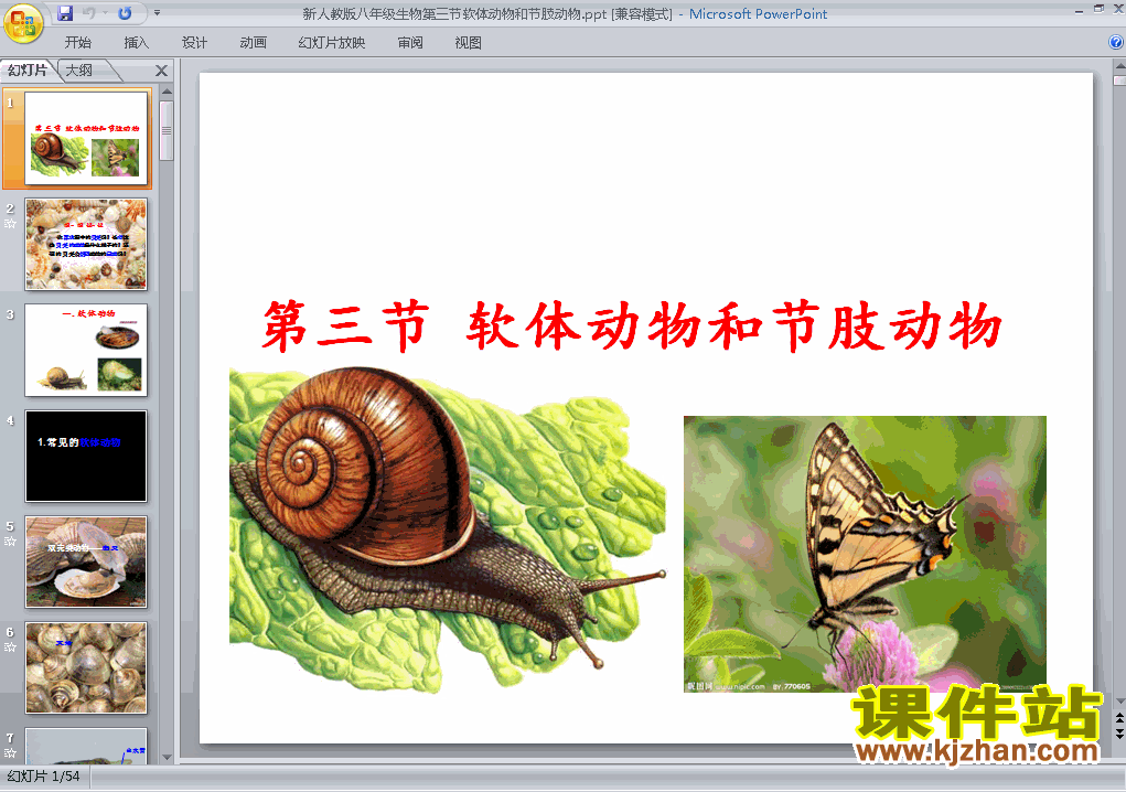下载5.1.3软体动物和节肢动物八年级上册生物公开课ppt课件