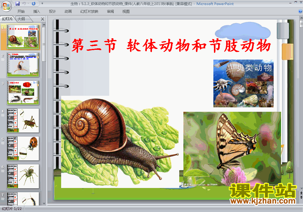 八上生物5.1.3软体动物和节肢动物ppt比赛获奖教学课件下载