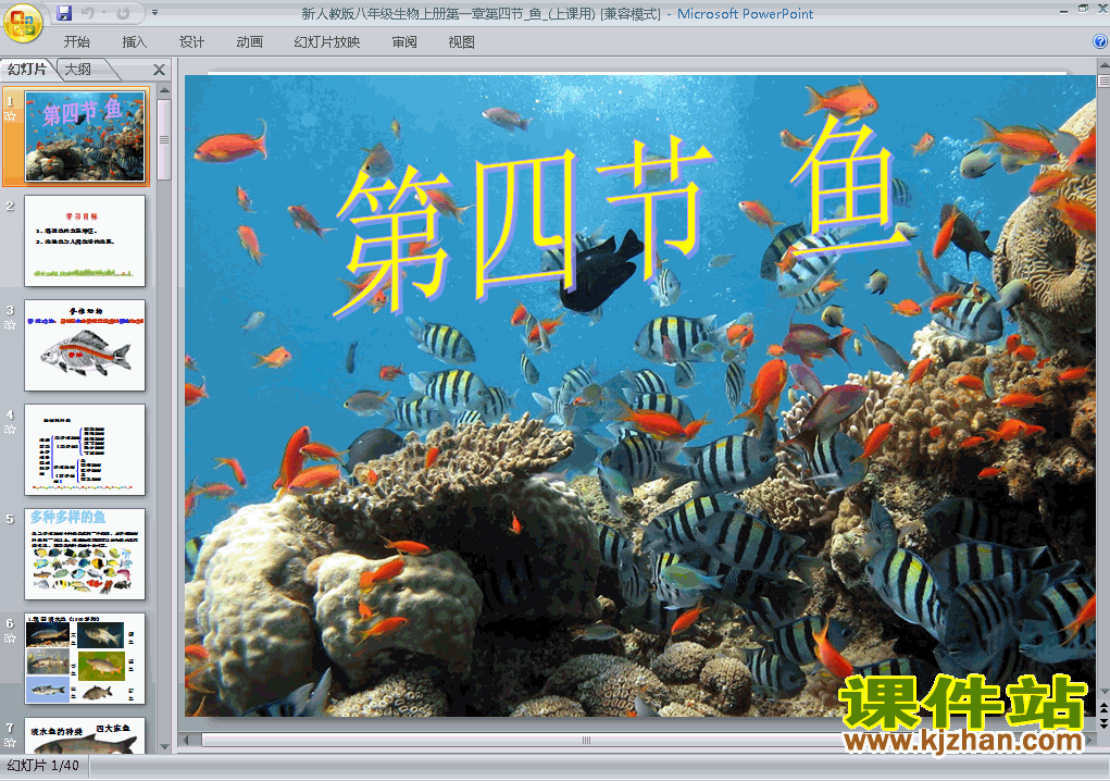 八年级上册生物5.1.4鱼优质课ppt课件下载