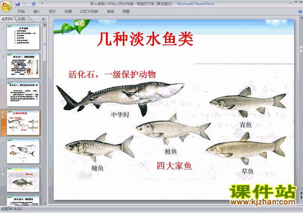 八上生物5.1.4鱼ppt比赛获奖教学课件下载