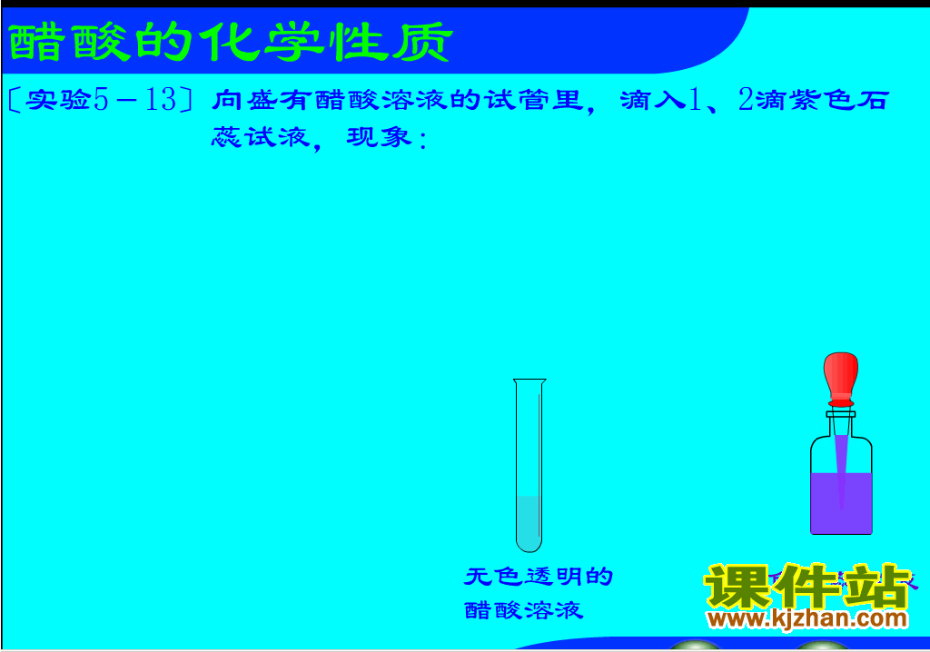 【初中化学】醋酸的性质flash动画在线观看\下载