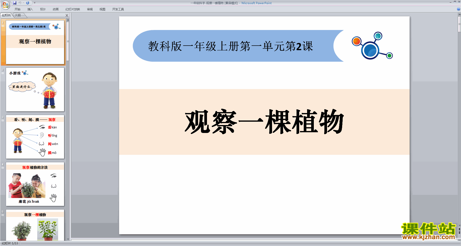 下载教科版一年级上册科学1.2观察一棵植物课件ppt