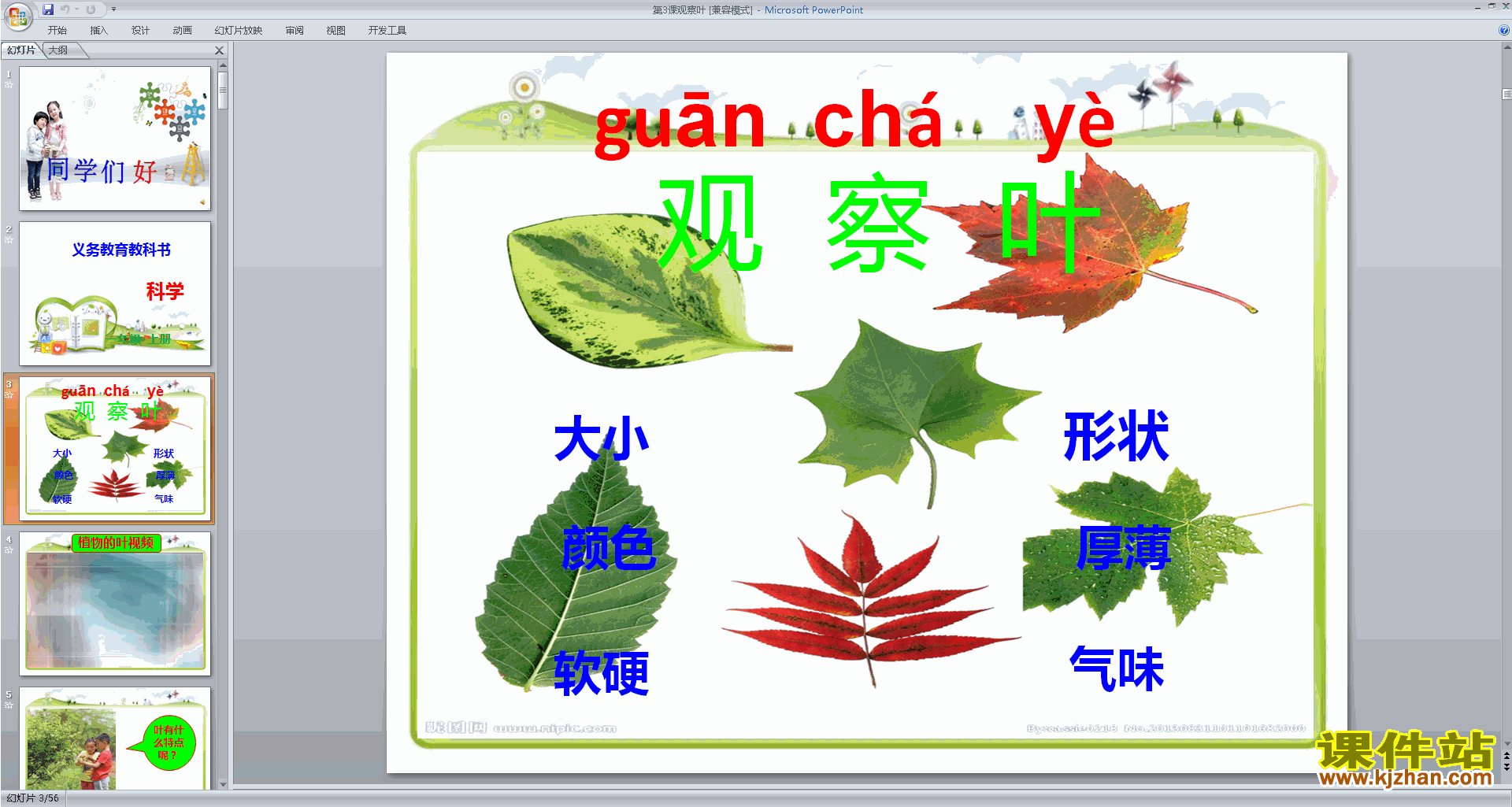 教科版一年级上册科学优质课1.3观察叶ppt课件下载