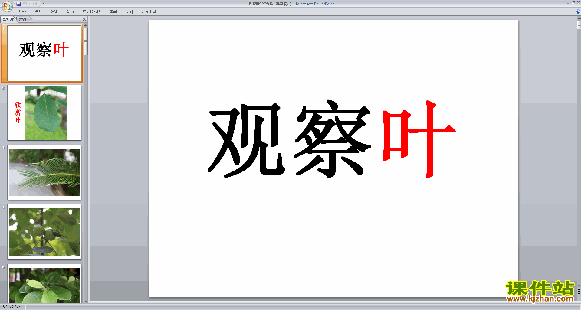 下载教科版一年级上册科学1.3观察叶ppt课件