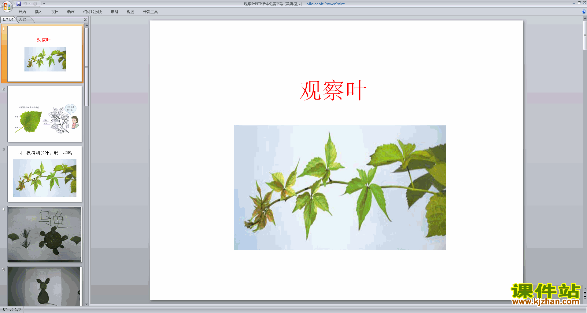 教科版一年级上册科学1.3观察叶ppt课件下载
