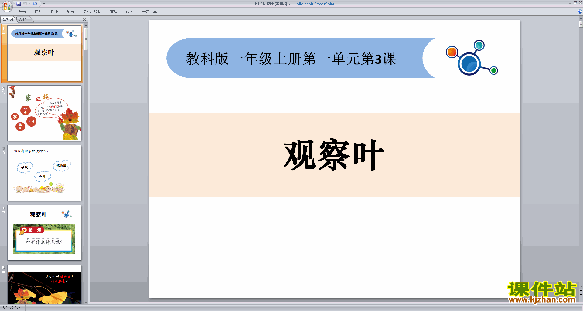 一年级上册教科版科学1.3观察叶ppt课件下载