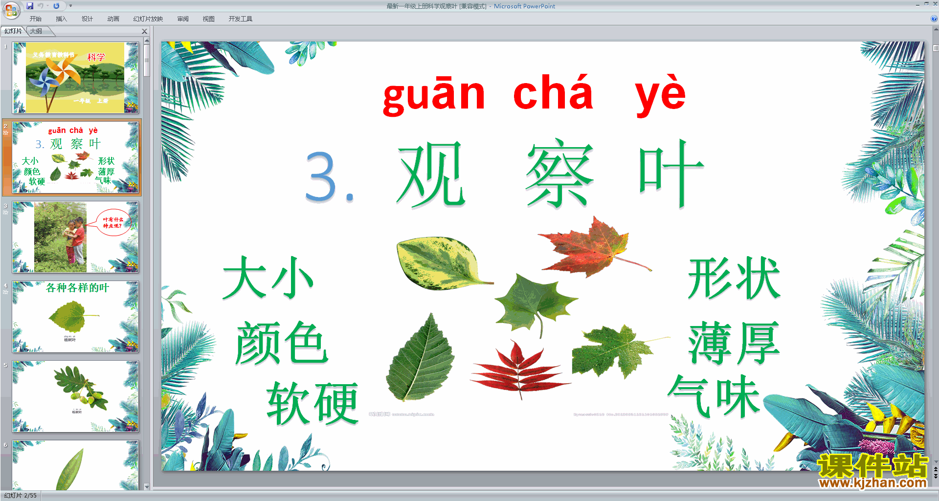 下载教研课1.3观察叶ppt课件(教科版一年级上册科学)