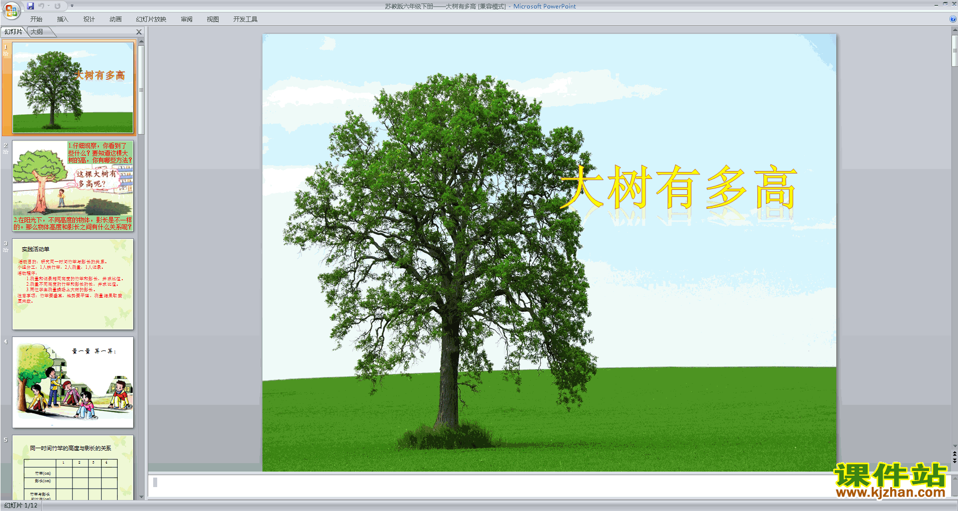下载大树有多高ppt课件(六年级下册新苏教版数学)