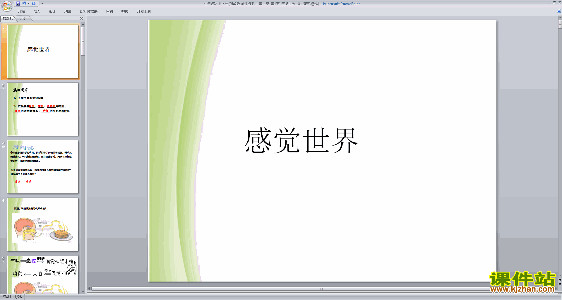 下载新浙教版七年级下册科学2.1感觉世界ppt课件
