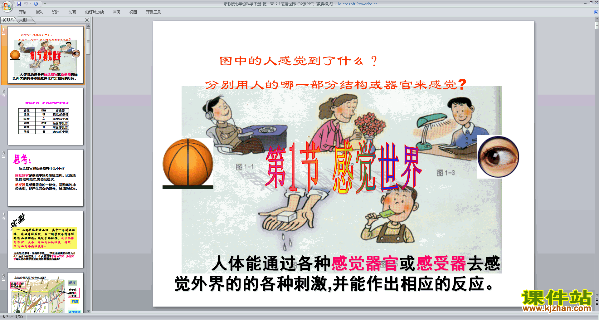 下载新浙教版七年级下册科学2.1感觉世界课件ppt