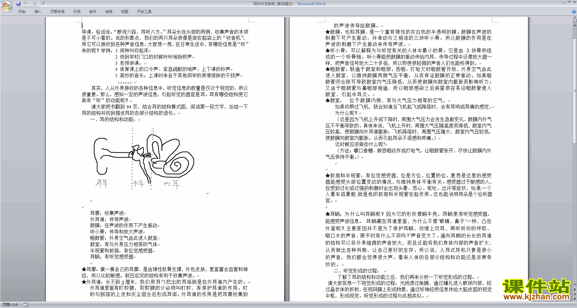 下载七年级下册新浙教版科学2.3耳和听觉教案教学设计
