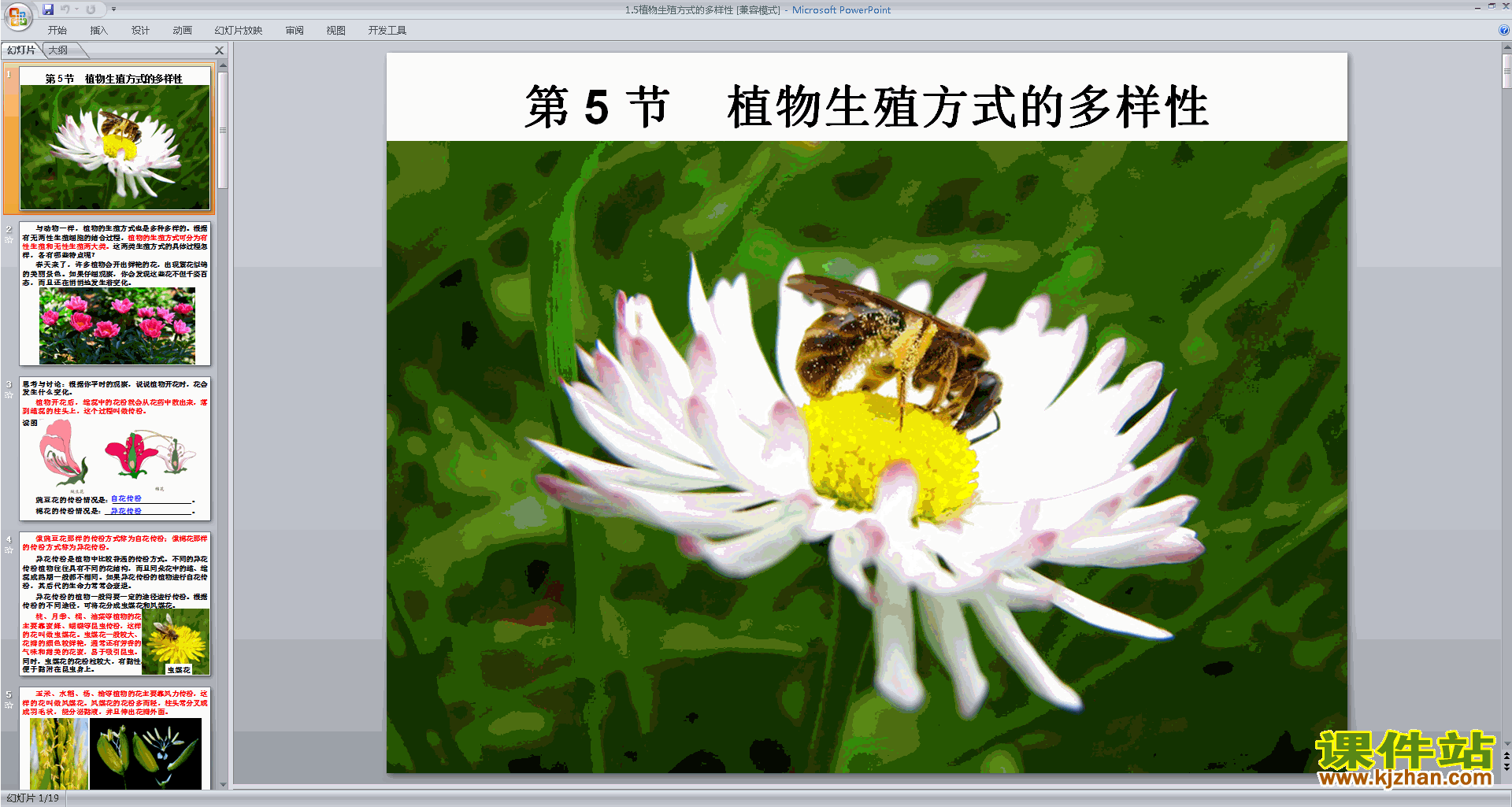 浙教版七年级下册科学1.5植物生殖方式的多样性ppt课件