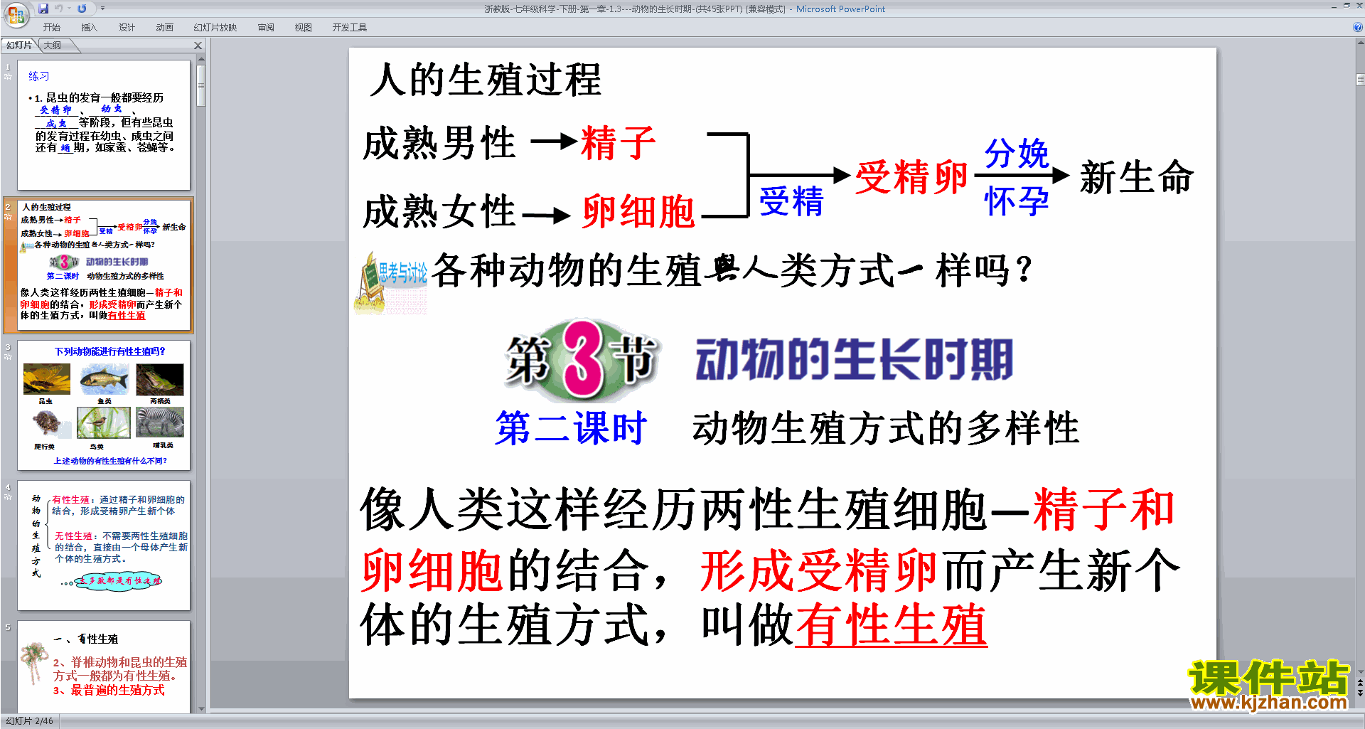 下载新浙教版七年级下册科学1.3动物的生长时期ppt课件