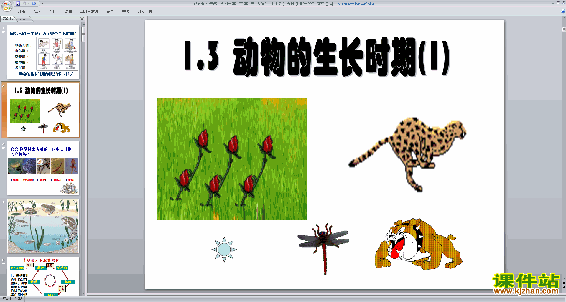 新浙教版七年级下册科学1.3动物的生长时期ppt课件下载