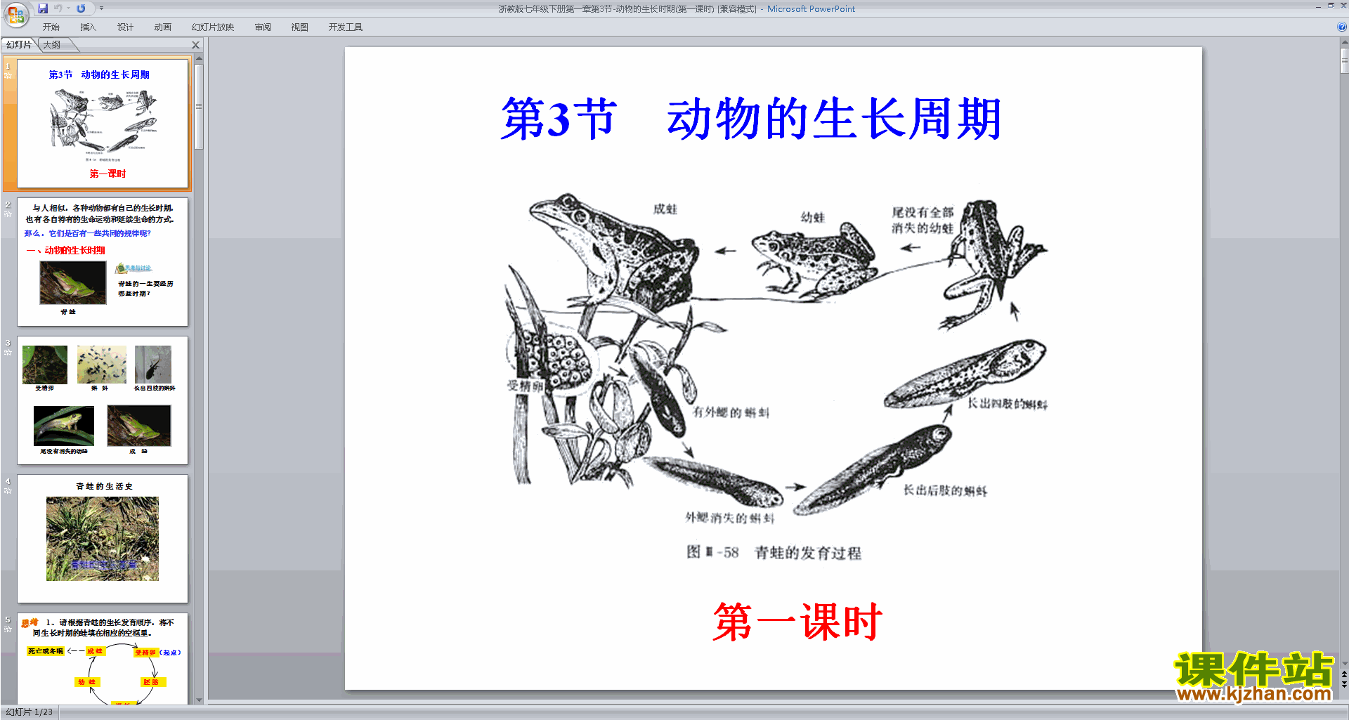 七年级下册科学新浙教版1.3动物的生长时期ppt课件下载